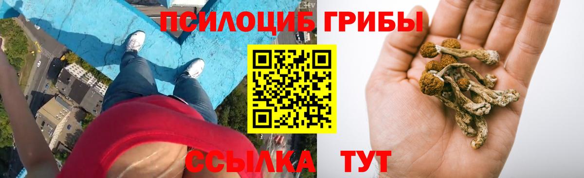 Королёв  Псилоцибиновые грибы Cubensis  магазин    Вход с VPN 