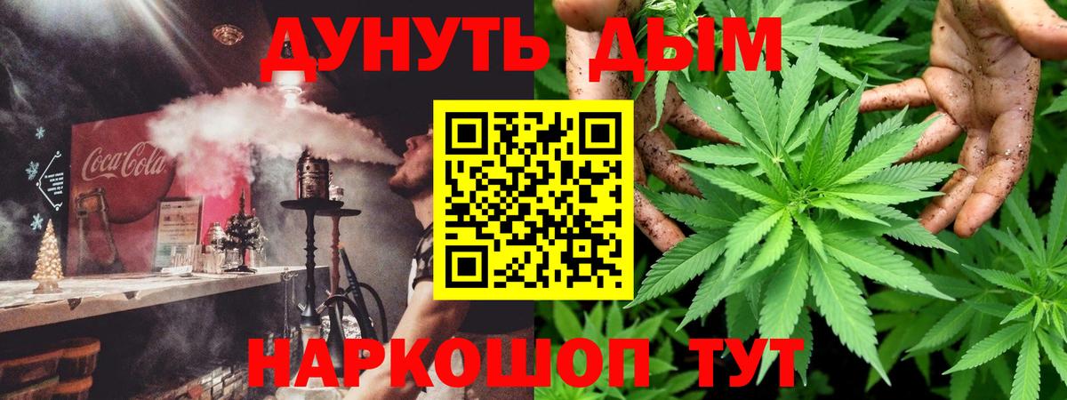 МАРИХУАНА гибрид Королёв